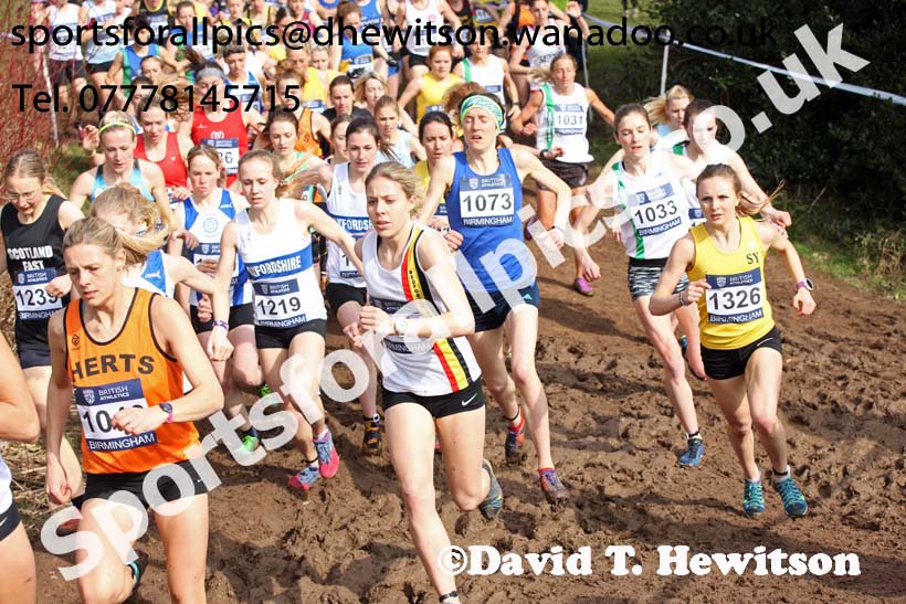 Senior womens 2016 Inter Counties Cross Country Champs. and Cross Challenge Final, Cofton Park, Birmingham. Photo: David T. Hewitson/Sports for All Pics